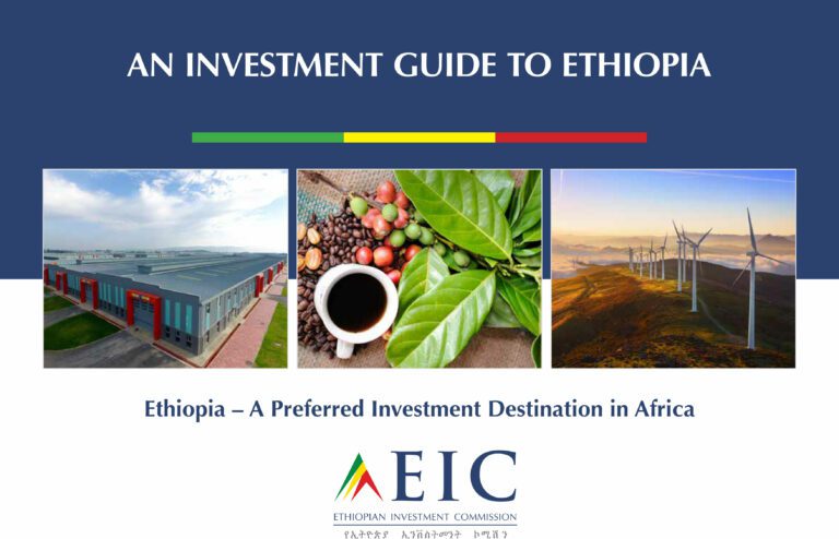 An Investment Guide To Ethiopia